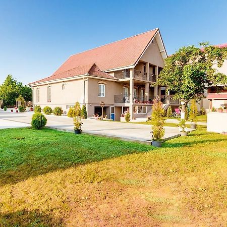 Hotel Casa Iulia Haţeg Exteriér fotografie