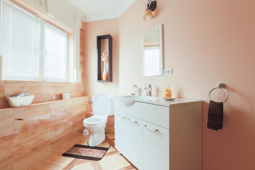 Hotel Casa Iulia Haţeg Pokoj fotografie